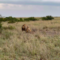 2022-Kenya-4765.jpg