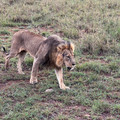 2022-Kenya-4772.jpg