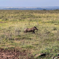 2022-Kenya-4786.jpg