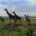 2022-Kenya-4792.jpg