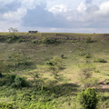 2022-Kenya-4818.jpg