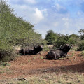 2022-Kenya-4823.jpg